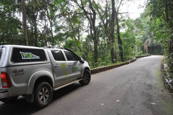 Fiona atravessando a Floresta da Tijuca pela Estrada das Paineras, no Rio de Janeiro - RJ