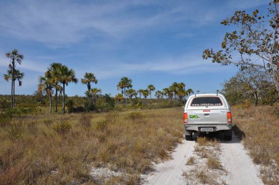 Fiona atravessando o Parque Nacional Grande Sertão Veredas, no noroeste de MG (região de Chapada Gaúcha) Fiona atravessando o Parque Nacional Grande Sertão Veredas, no noroeste de MG (região de Chapada Gaúcha)