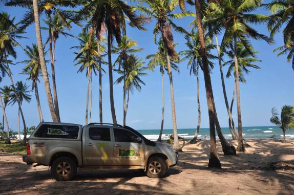 Fiona explorando trilhas entre coqueirais na Península do Maraú - BA