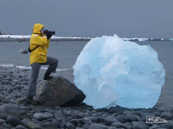 Fotografando blocos de gelo na praia de pedras de Turret Point, em King George Island, na Antártida Fotografando blocos de gelo na praia de pedras de Turret Point, em King George Island, na Antártida