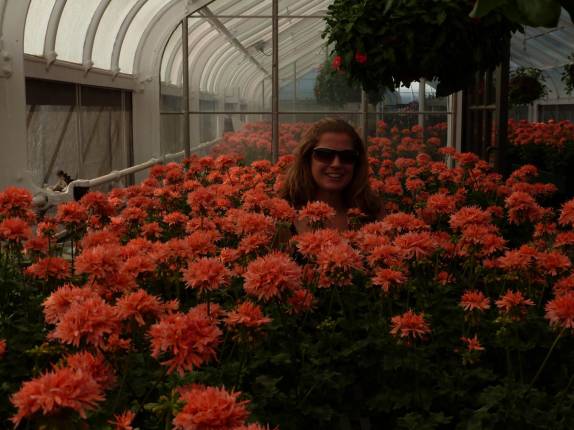 fotografando flores no Longwood Gardens, na Pennsylvania - Estados Unidos fotografando flores no Longwood Gardens, na Pennsylvania - Estados Unidos