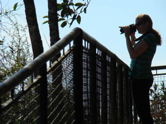 Fotografando o Salto São Francisco, em Prudentópolis - PR