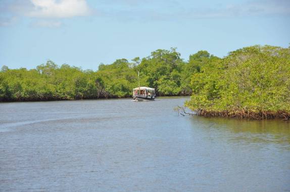 Fundo da Baía de Camamu, próximo à Cachoeira do Tremembé - BA Fundo da Baía de Camamu, próximo à Cachoeira do Tremembé - BA