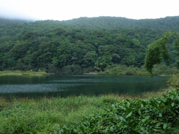 Grand Etáng, um grande lago no meio da mata do Parque Nacional em Basse Terre, em Guadalupe, no Caribe Grand Etáng, um grande lago no meio da mata do Parque Nacional em Basse Terre, em Guadalupe, no Caribe