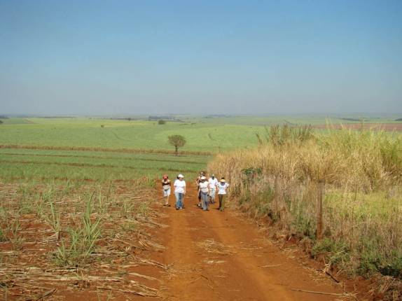Grupo caminhando na na fazenda em Ribeirão Preto - SP Grupo caminhando na na fazenda em Ribeirão Preto - SP