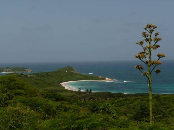 Half Moon Bay, uma miragem na costa sudeste de Antígua, no Caribe Half Moon Bay, uma miragem na costa sudeste de Antígua, no Caribe