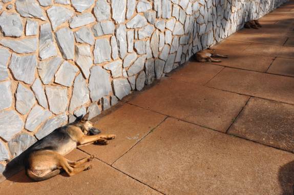 Hora da siesta em Araxá - MG Hora da siesta em Araxá - MG