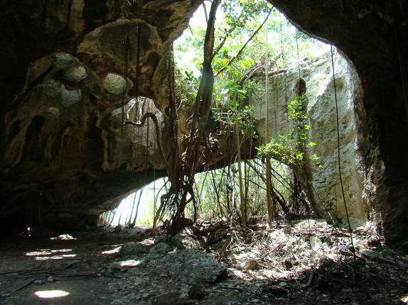 Indian Cave, em Middle Caicos. Milhões de mosquitos!!! Indian Cave, em Middle Caicos. Milhões de mosquitos!!!