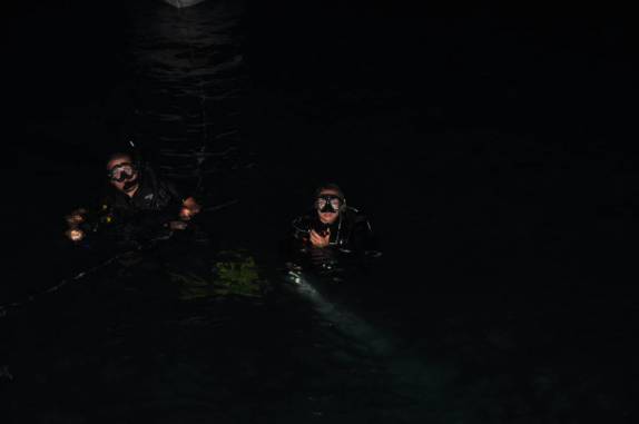 Início de mergulho noturno em Abrolhos - BA