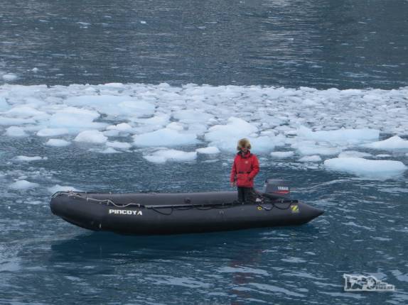 Início do desembarque nas águas geladas de Point Wild, em Elephant Island, na Antártida