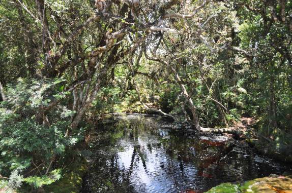 Lago 'encantado' acima do Cachoeirão, no Vale do Pati, na Chapada Diamantina - BA Lago 'encantado' acima do Cachoeirão, no Vale do Pati, na Chapada Diamantina - BA