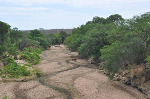 Leiro quase seco de um rio no interior de Alagoas. Visão comum no sertão