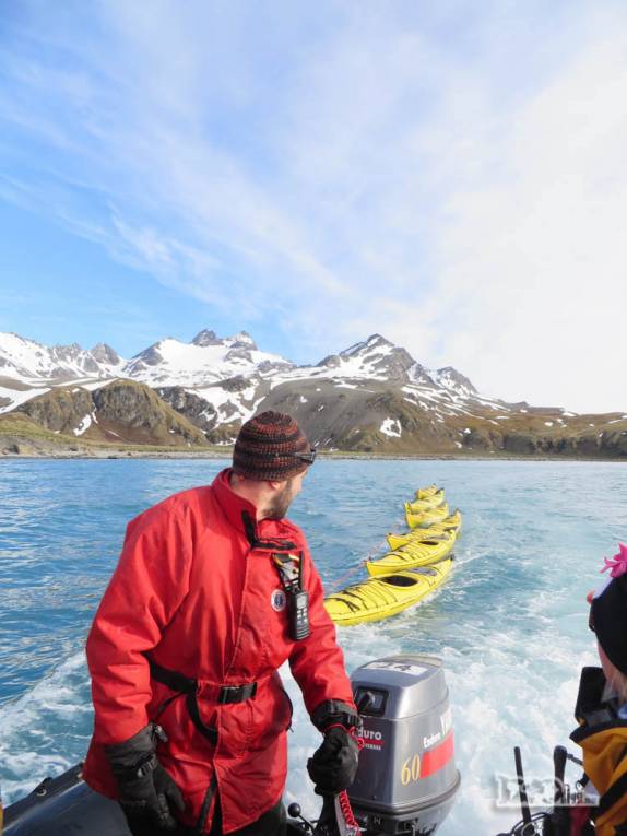 Levando os caiaques de volta ao Sea Spirit em Gold Harbour, na Geórgia do Sul Levando os caiaques de volta ao Sea Spirit em Gold Harbour, na Geórgia do Sul