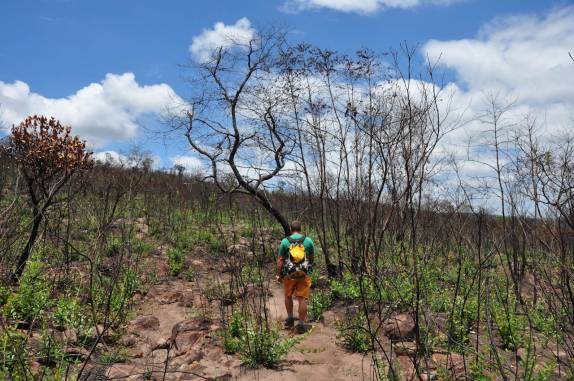 Lúcio nos leva na trilha para o Lapão, em Lençóis, na Chapada Diamantina - BA