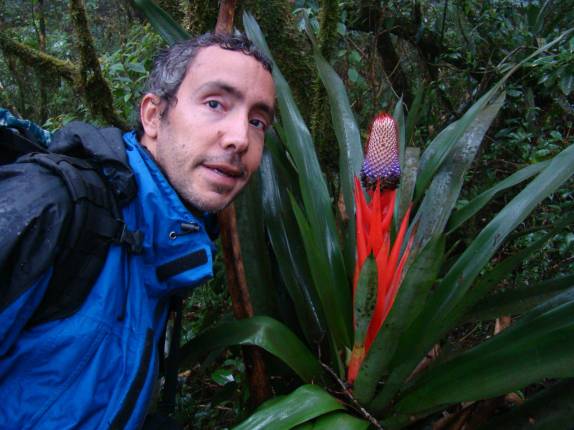 Maravilhosa bromélia na trilha do Pico Paraná - PR Maravilhosa bromélia na trilha do Pico Paraná - PR