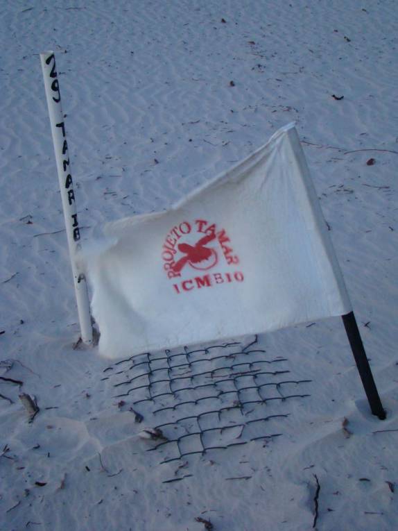 Marcação de ninho de tartaruga em Mangue Seco (BA) Marcação de ninho de tartaruga em Mangue Seco (BA)