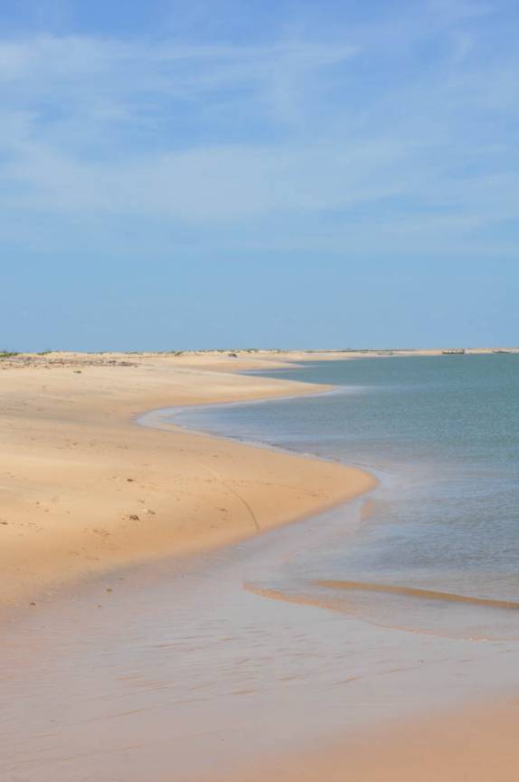 Margem do São Francisco pouco antes da sua foz, na divisa entre os estados de Alagoas e Sergipe (município de Piaçabuçu - AL)