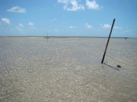 Maré baixa em Moreré, na Ilha de Boipeba - BA