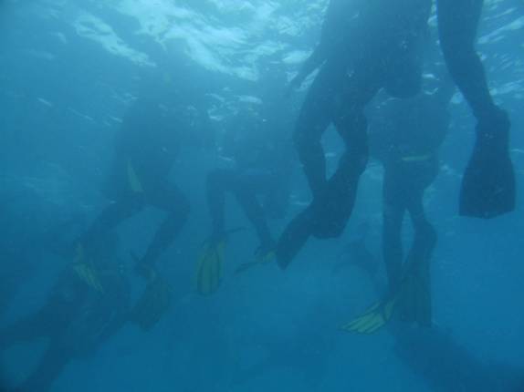 Mergulhadores prontos para submergir, em Abrolhos - BA