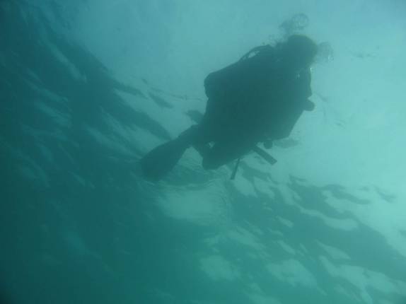 Mergulhando no 'Chaperinhos do Sueste', em Abrolhos - BA