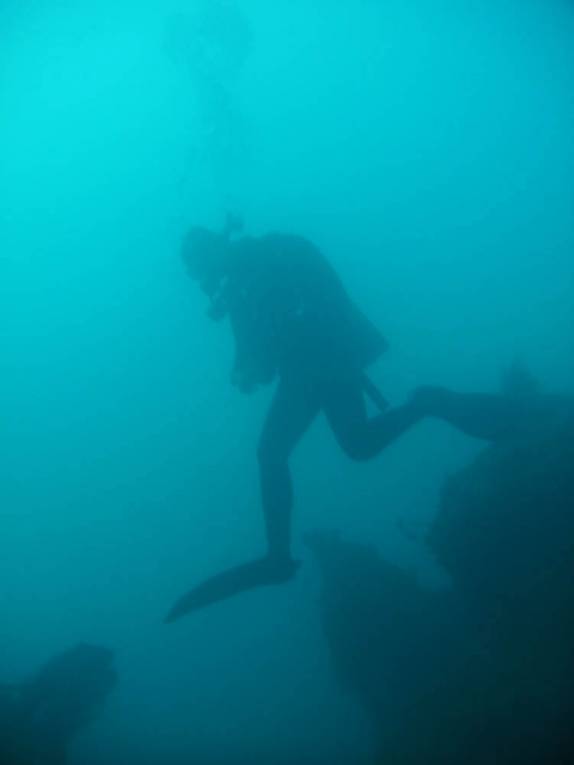 Mergulhando no naufrágio Santa Catarina, em Abrolhos - BA
