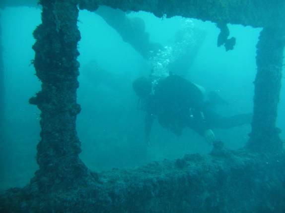 Mergulho no naufrágio Rosalina, em Abrolhos - BA
