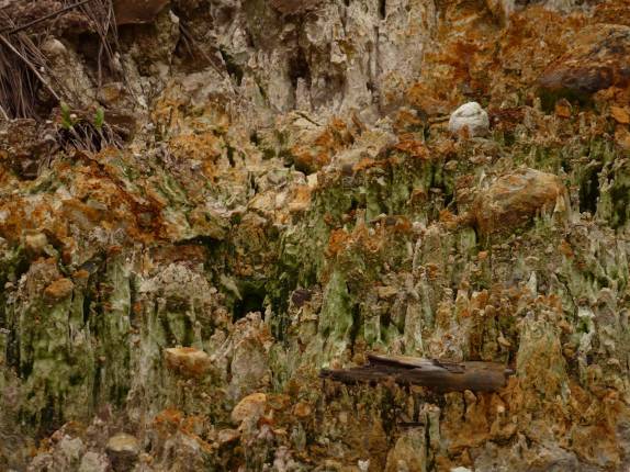 Minerais coloridos afloram na trilha do Boiling Lake, no Trois Pitons National Park, em Dominica, no Caribe Minerais coloridos afloram na trilha do Boiling Lake, no Trois Pitons National Park, em Dominica, no Caribe