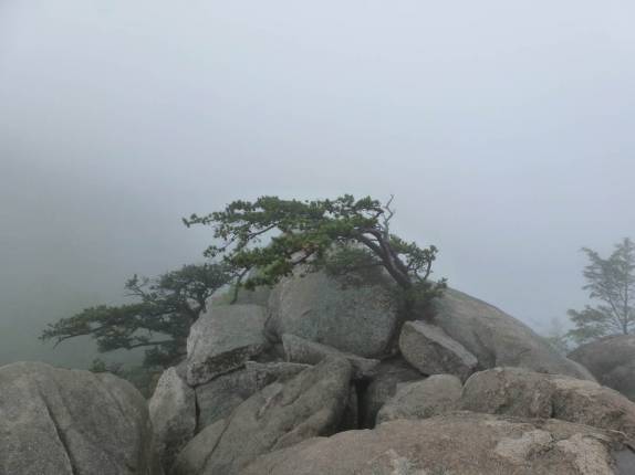 Muita neblina no caminho para a Old Rag Mountain, no Shennandoah National Park, na Virginia, nos Estados Unidos Muita neblina no caminho para a Old Rag Mountain, no Shennandoah National Park, na Virginia, nos Estados Unidos