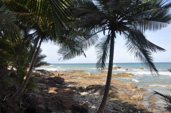 Muitos coqueiros no caminho entre Itacarezinho e Havaizinho, em Itacaré - BA Muitos coqueiros no caminho entre Itacarezinho e Havaizinho, em Itacaré - BA