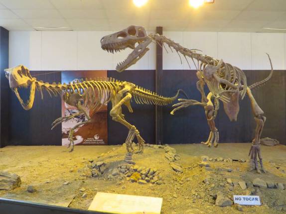Museu paleontológico do Parque Provincial Ischigualasto, na Argentina Museu paleontológico do Parque Provincial Ischigualasto, na Argentina
