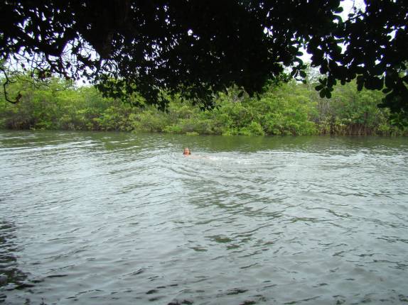 Nadando no rio ao acordar, em Jacumã, distrito de Conde - PB Nadando no rio ao acordar, em Jacumã, distrito de Conde - PB