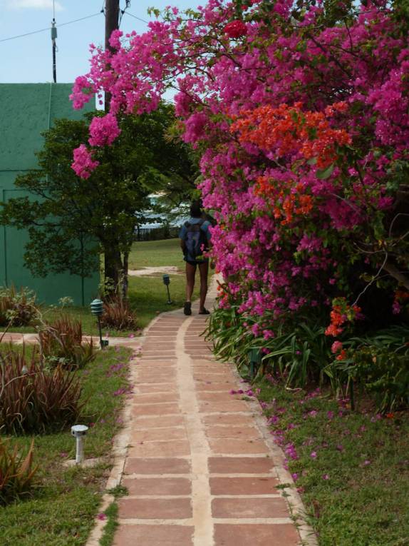 Nosso caminho para o mar em Treasure Beach, no litoral sul da Jamaica Nosso caminho para o mar em Treasure Beach, no litoral sul da Jamaica