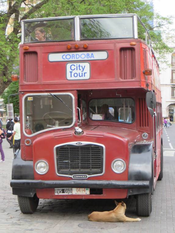 O cachorro não parece muito preocupado com o ônibus do city-tour de Córdoba, na Argentina