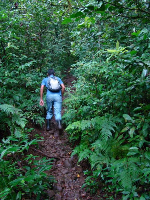 O Carlos me guia na trilha para o topo do vulcão Maderos, na Isla Ometepe, no Lago Nicarágua O Carlos me guia na trilha para o topo do vulcão Maderos, na Isla Ometepe, no Lago Nicarágua
