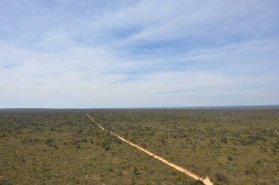 O enorme 'mar de cerrado', no Parque Nacional Grande Sertão Veredas, no noroeste de MG (região de Chapada Gaúcha) O enorme 'mar de cerrado', no Parque Nacional Grande Sertão Veredas, no noroeste de MG (região de Chapada Gaúcha)