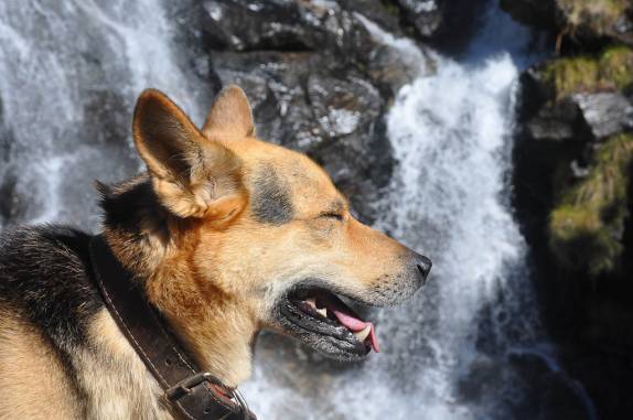 O Simbad adora cachoeiras! (Vale do Matutu - MG) O Simbad adora cachoeiras! (Vale do Matutu - MG)