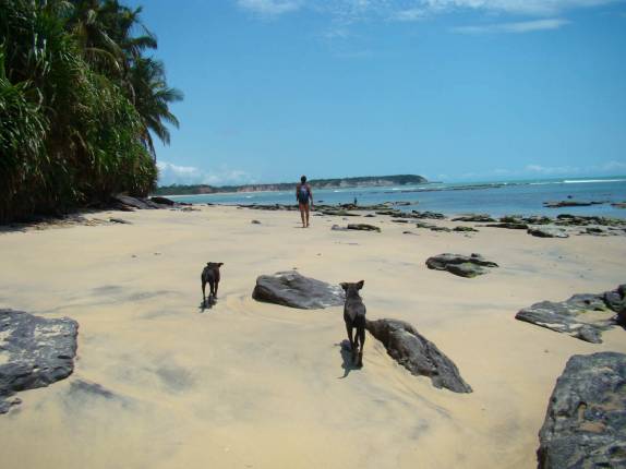 Os cães nos acompanham na caminhada, em CaraÃva - BA Os cães nos acompanham na caminhada, em CaraÃva - BA