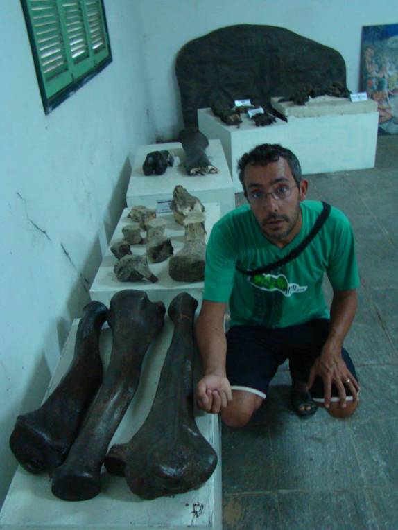 Ossos de Preguiça Gigante em museu em Ingá - PB Ossos de Preguiça Gigante em museu em Ingá - PB