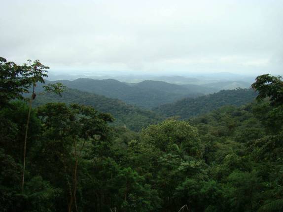 Paisagem do Parque Carlos Botelho no estado de São Paulo