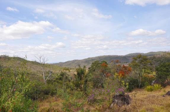 Parque Nacional das Sempre-Vivas, em MG Parque Nacional das Sempre-Vivas, em MG