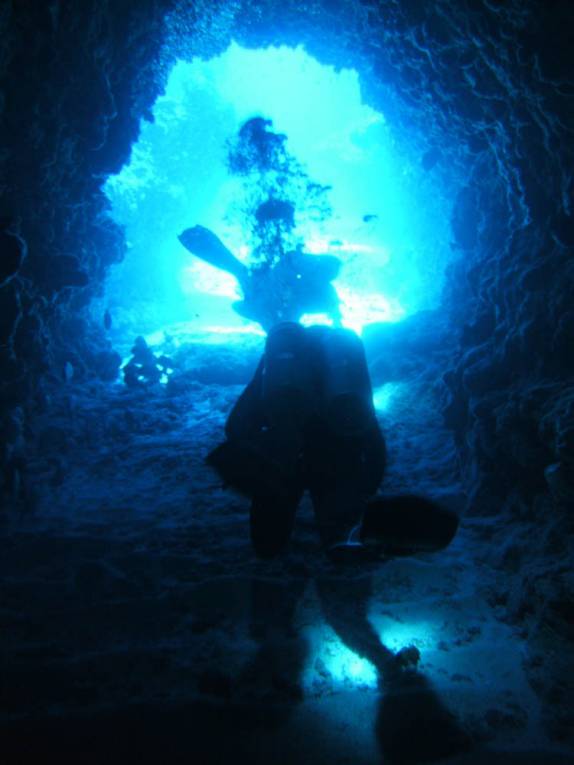 Pasagem sobre corais durante mergulho nas Pedras Secas, em Fernando de Noronha - PE Pasagem sobre corais durante mergulho nas Pedras Secas, em Fernando de Noronha - PE