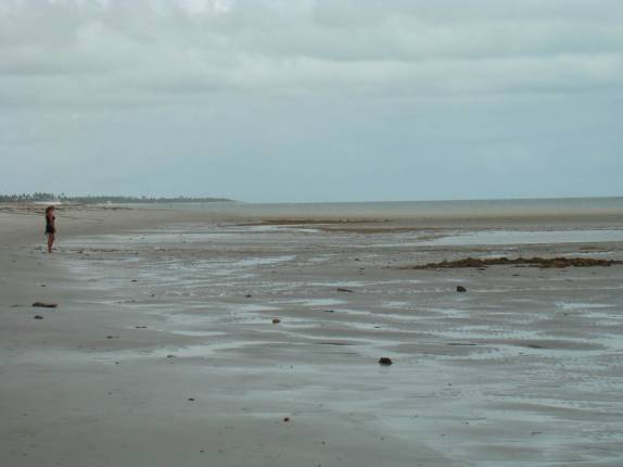 Passeando nas praias de Itamaracá - PE durante a maré baixa Passeando nas praias de Itamaracá - PE durante a maré baixa