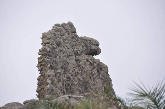 Pedra do Cavalo Marinho, no P.N da Serra do Catimbau, próximo à Buique - PE