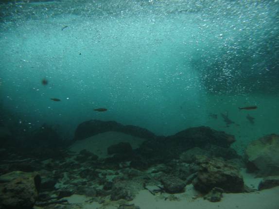 Peixes brincam no turbilhão da Cachoeira do Formiga, na região de Mateiros, no Jalapão - TO