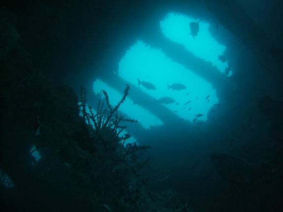 Peixes nadam dentro do naufrágio Santa Catarina, em Abrolhos - BA Peixes nadam dentro do naufrágio Santa Catarina, em Abrolhos - BA