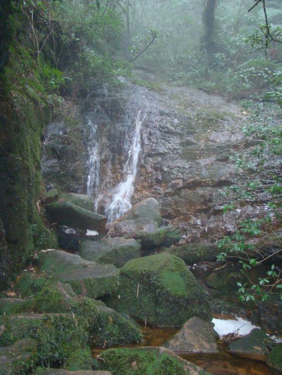 Pequena cachoeira na trilha do Pico Paraná - PR Pequena cachoeira na trilha do Pico Paraná - PR