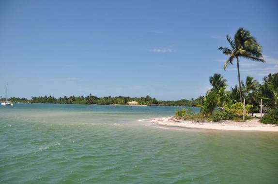 Pequena ilha na Baía de Camamu - BA Pequena ilha na Baía de Camamu - BA
