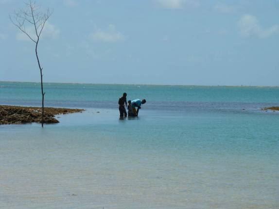Pesca na maré baixa, em Moreré, na Ilha de Boipeba - BA