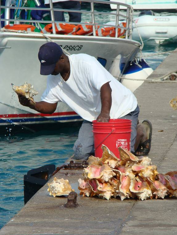 Pescador e suas conchas Pescador e suas conchas