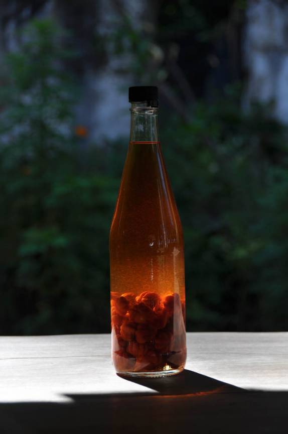 Pinga artesanal de pitanga, no restaurante do Nildo, na ilha Veneza, na Baía de Camamu - BA Pinga artesanal de pitanga, no restaurante do Nildo, na ilha Veneza, na Baía de Camamu - BA